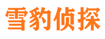 庆安找人公司